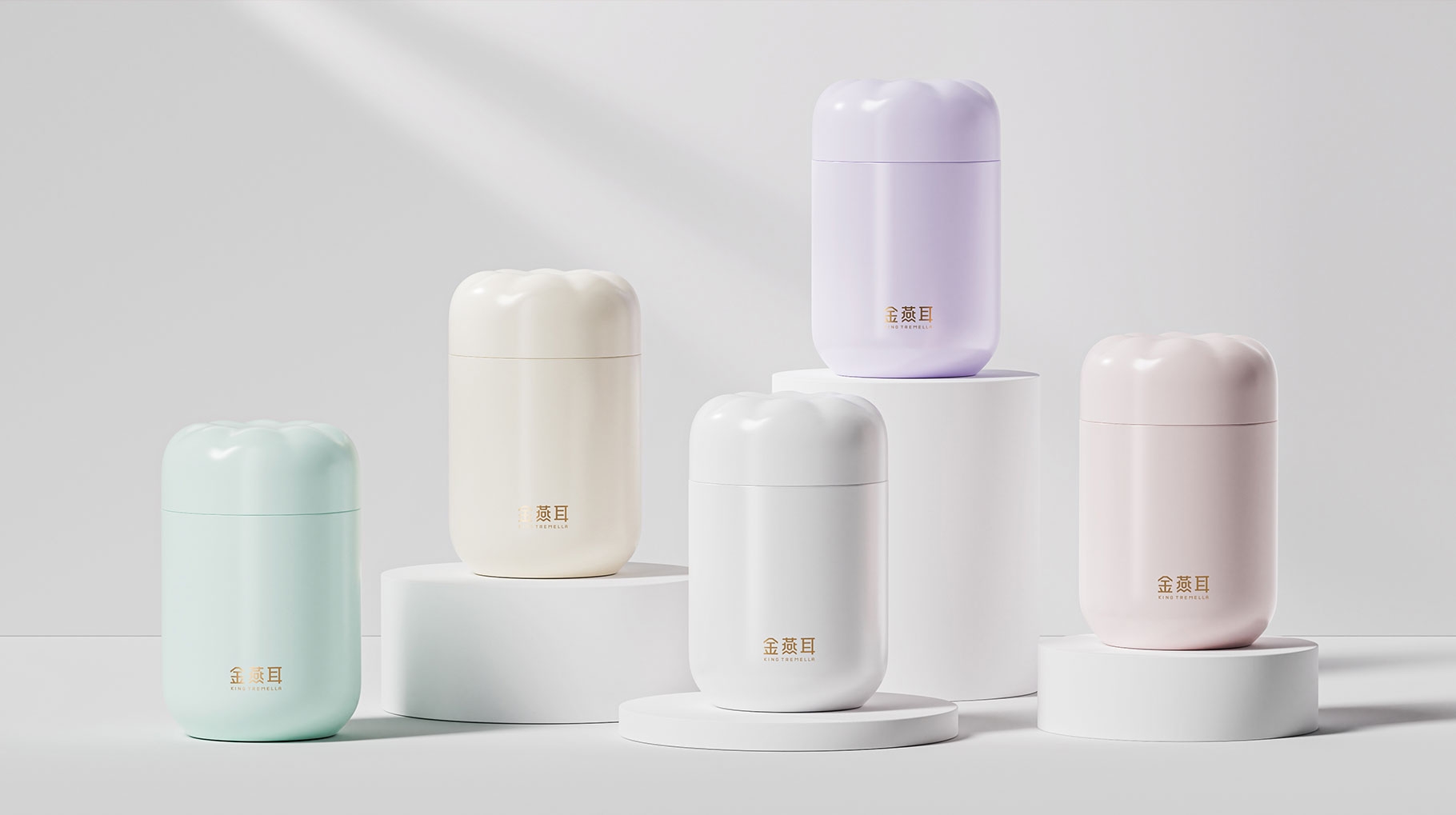 金燕耳银耳礼盒包装设计