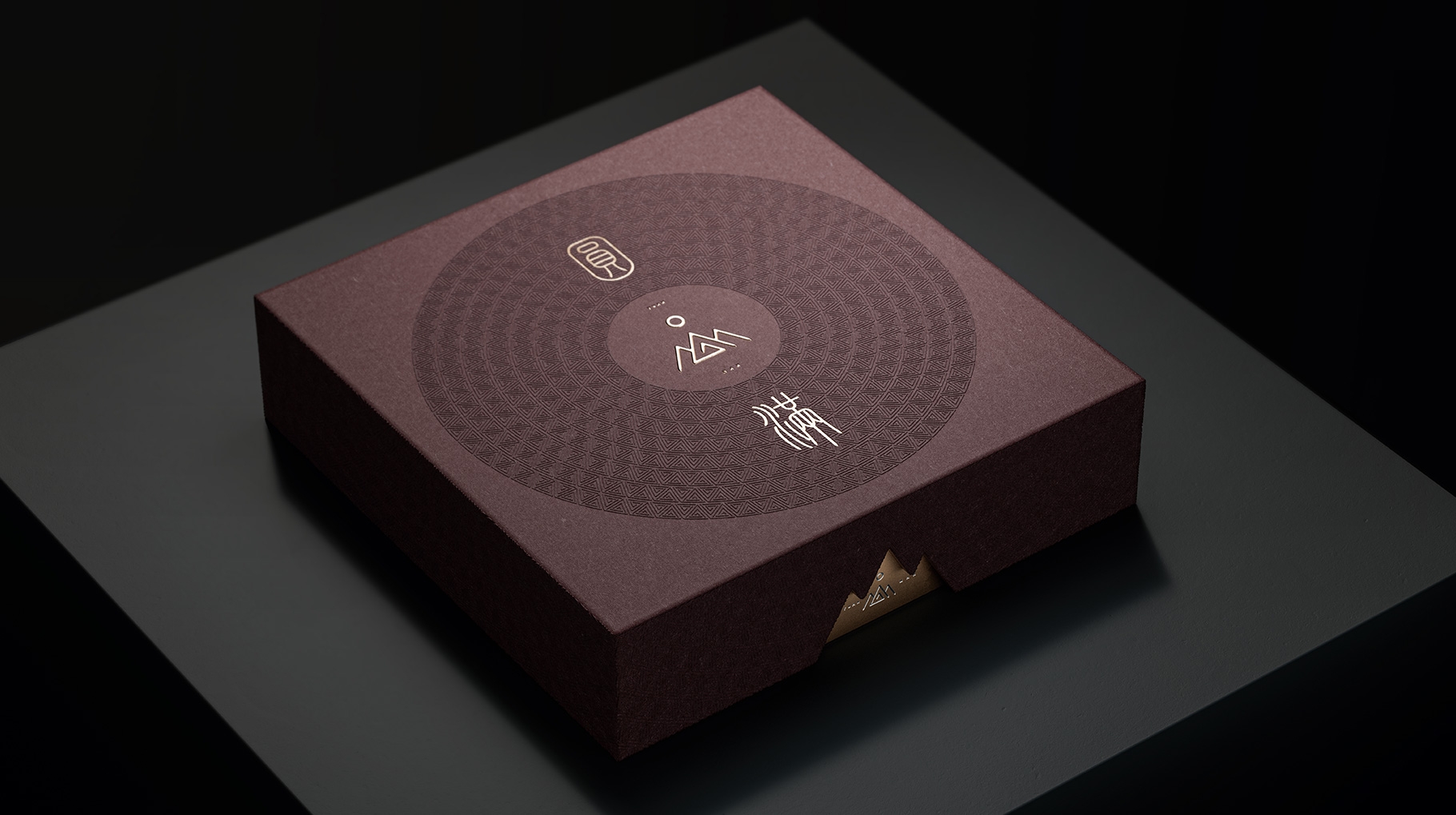 高端普洱茶饼礼盒包装设计